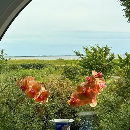 2 Bedroom Gorgeous In V Esbjerg